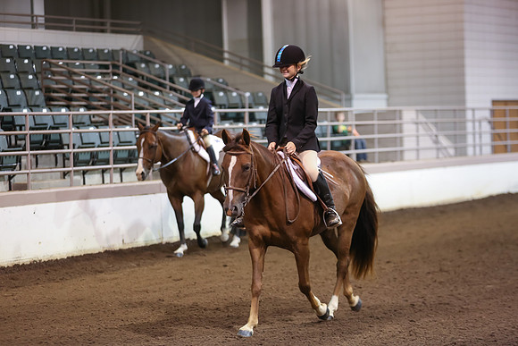 www.ngaphoto.com 2015 Georgia Federation of Saddle Clubs Championship Horse Show