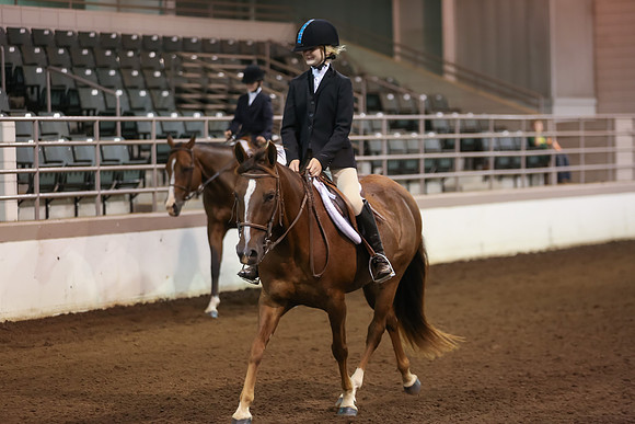 www.ngaphoto.com 2015 Georgia Federation of Saddle Clubs Championship Horse Show