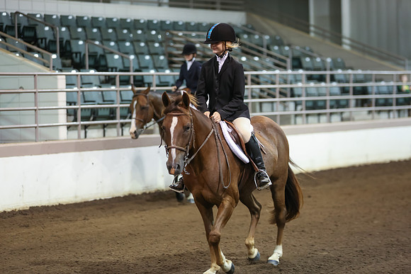 www.ngaphoto.com 2015 Georgia Federation of Saddle Clubs Championship Horse Show