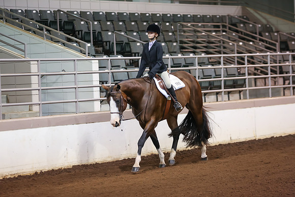 www.ngaphoto.com 2015 Georgia Federation of Saddle Clubs Championship Horse Show