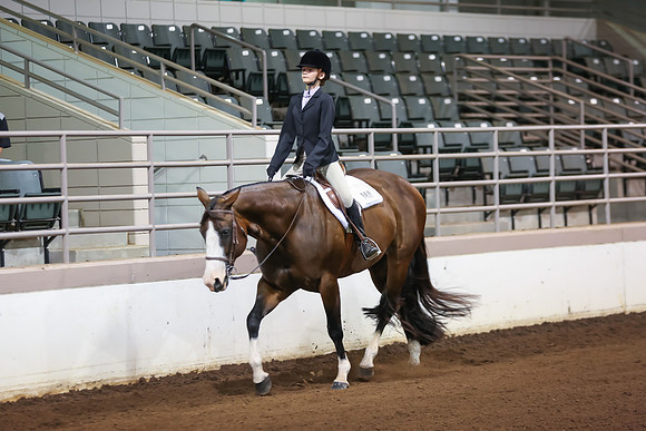 www.ngaphoto.com 2015 Georgia Federation of Saddle Clubs Championship Horse Show