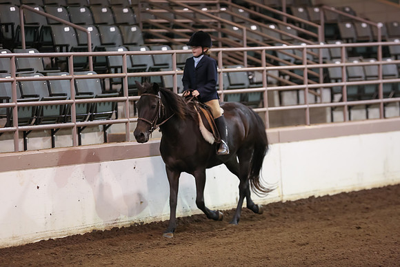 www.ngaphoto.com 2015 Georgia Federation of Saddle Clubs Championship Horse Show