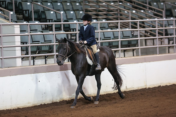 www.ngaphoto.com 2015 Georgia Federation of Saddle Clubs Championship Horse Show