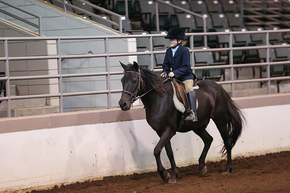 www.ngaphoto.com 2015 Georgia Federation of Saddle Clubs Championship Horse Show