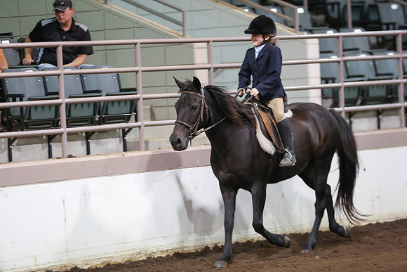 www.ngaphoto.com 2015 Georgia Federation of Saddle Clubs Championship Horse Show