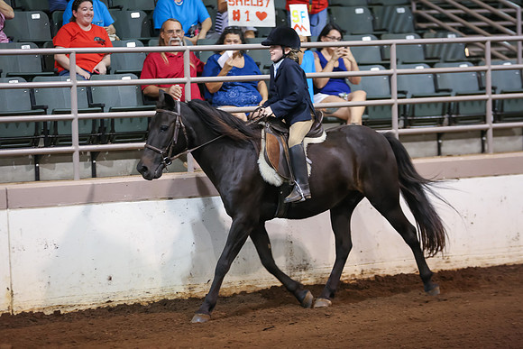 www.ngaphoto.com 2015 Georgia Federation of Saddle Clubs Championship Horse Show