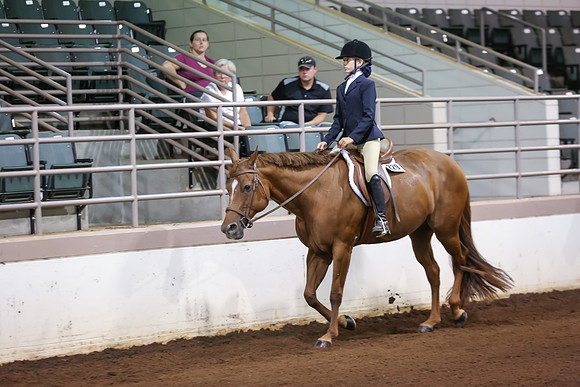 www.ngaphoto.com 2015 Georgia Federation of Saddle Clubs Championship Horse Show
