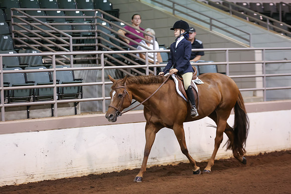 www.ngaphoto.com 2015 Georgia Federation of Saddle Clubs Championship Horse Show