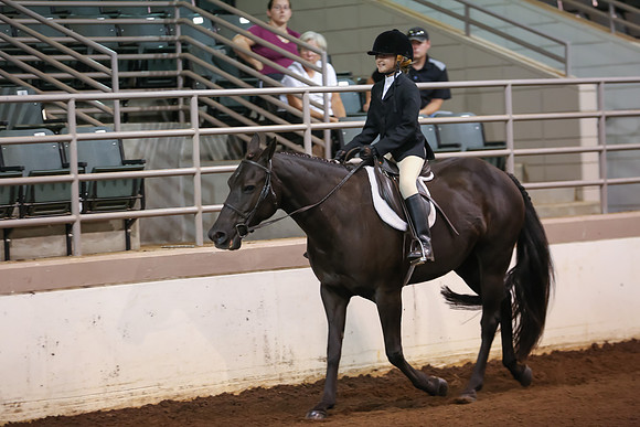 www.ngaphoto.com 2015 Georgia Federation of Saddle Clubs Championship Horse Show