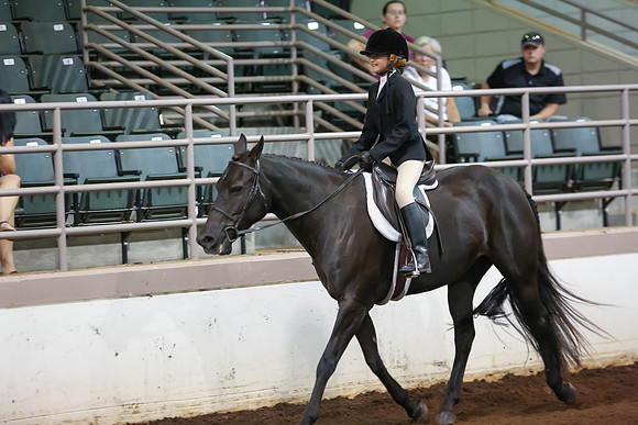 www.ngaphoto.com 2015 Georgia Federation of Saddle Clubs Championship Horse Show
