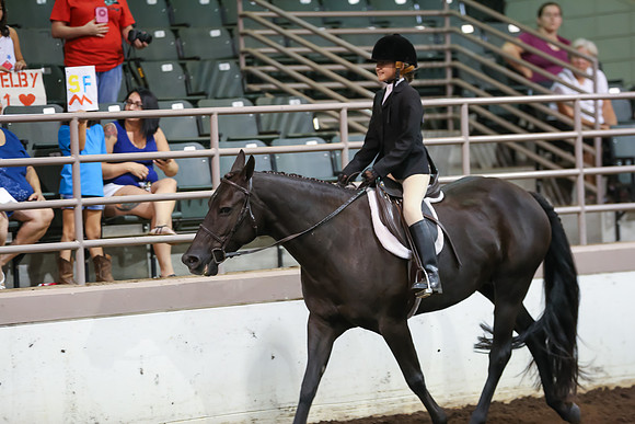 www.ngaphoto.com 2015 Georgia Federation of Saddle Clubs Championship Horse Show