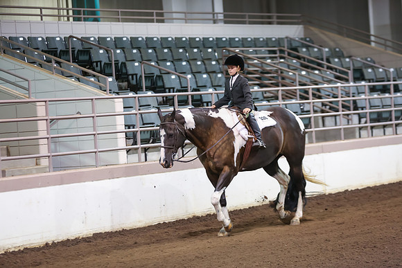 www.ngaphoto.com 2015 Georgia Federation of Saddle Clubs Championship Horse Show