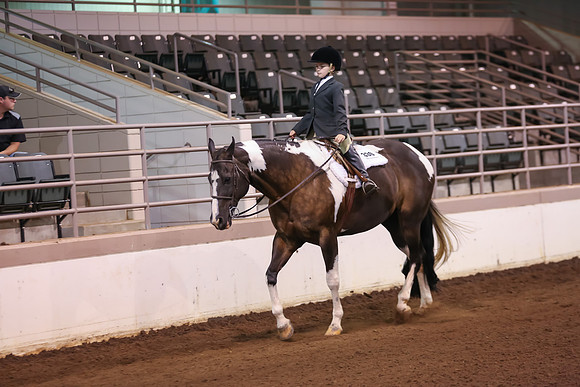 www.ngaphoto.com 2015 Georgia Federation of Saddle Clubs Championship Horse Show