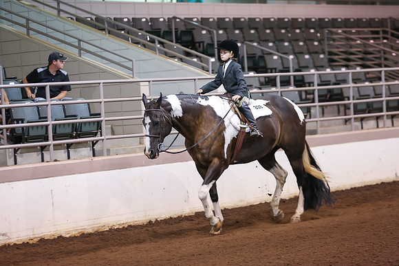 www.ngaphoto.com 2015 Georgia Federation of Saddle Clubs Championship Horse Show