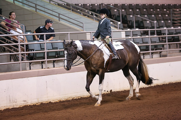 www.ngaphoto.com 2015 Georgia Federation of Saddle Clubs Championship Horse Show