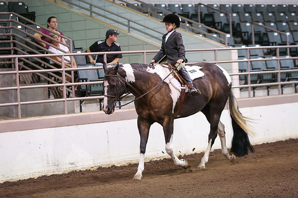 www.ngaphoto.com 2015 Georgia Federation of Saddle Clubs Championship Horse Show
