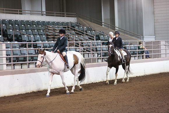 www.ngaphoto.com 2015 Georgia Federation of Saddle Clubs Championship Horse Show