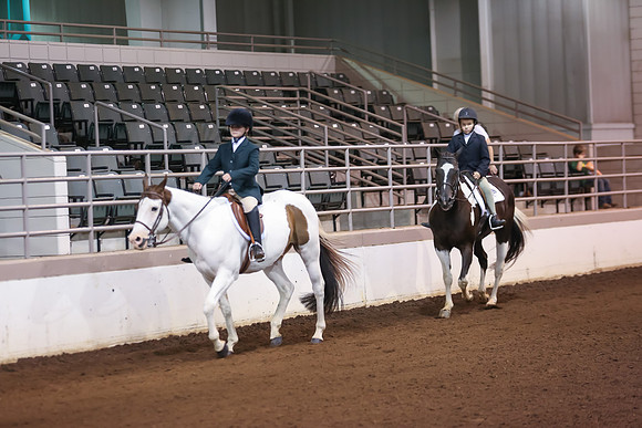 www.ngaphoto.com 2015 Georgia Federation of Saddle Clubs Championship Horse Show