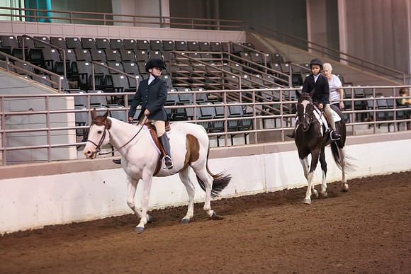 www.ngaphoto.com 2015 Georgia Federation of Saddle Clubs Championship Horse Show