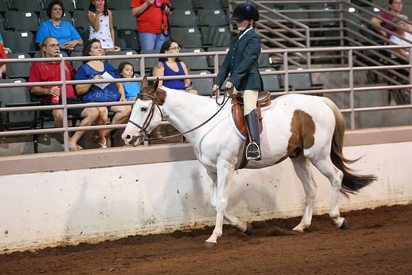 www.ngaphoto.com 2015 Georgia Federation of Saddle Clubs Championship Horse Show