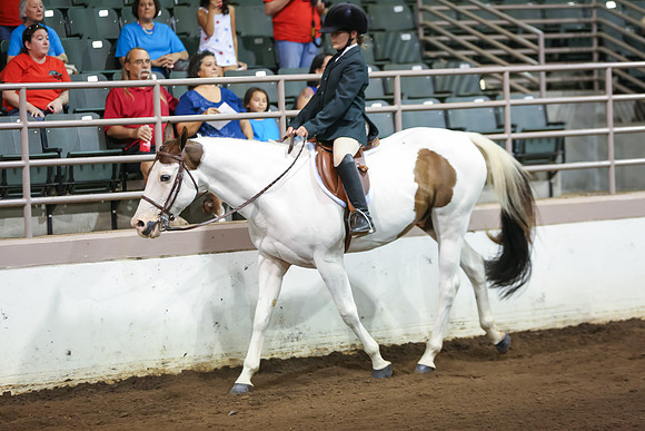 www.ngaphoto.com 2015 Georgia Federation of Saddle Clubs Championship Horse Show