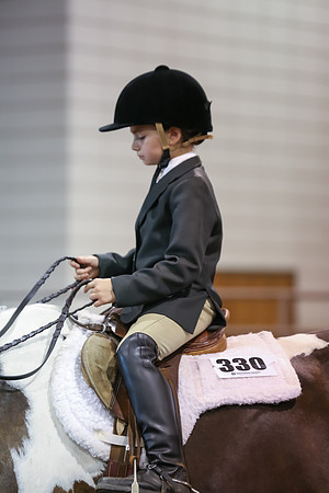www.ngaphoto.com 2015 Georgia Federation of Saddle Clubs Championship Horse Show