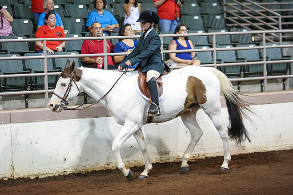 www.ngaphoto.com 2015 Georgia Federation of Saddle Clubs Championship Horse Show