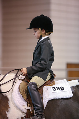 www.ngaphoto.com 2015 Georgia Federation of Saddle Clubs Championship Horse Show