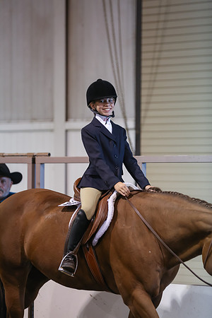www.ngaphoto.com 2015 Georgia Federation of Saddle Clubs Championship Horse Show