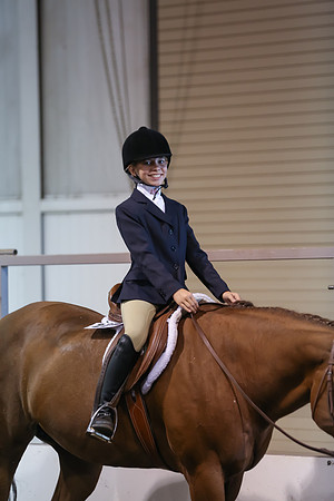 www.ngaphoto.com 2015 Georgia Federation of Saddle Clubs Championship Horse Show