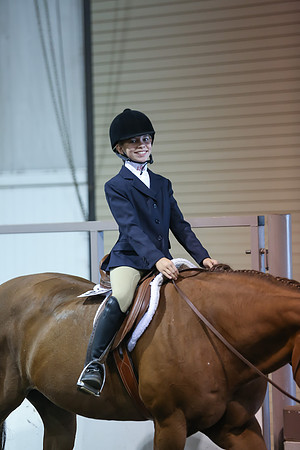 www.ngaphoto.com 2015 Georgia Federation of Saddle Clubs Championship Horse Show