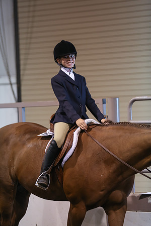 www.ngaphoto.com 2015 Georgia Federation of Saddle Clubs Championship Horse Show