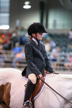 www.ngaphoto.com 2015 Georgia Federation of Saddle Clubs Championship Horse Show