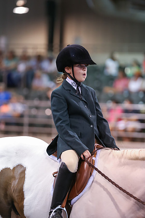 www.ngaphoto.com 2015 Georgia Federation of Saddle Clubs Championship Horse Show