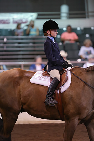 www.ngaphoto.com 2015 Georgia Federation of Saddle Clubs Championship Horse Show