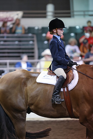 www.ngaphoto.com 2015 Georgia Federation of Saddle Clubs Championship Horse Show
