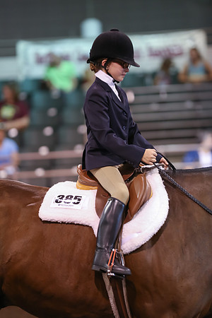 www.ngaphoto.com 2015 Georgia Federation of Saddle Clubs Championship Horse Show