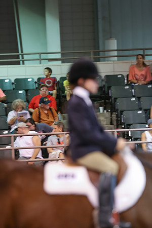 www.ngaphoto.com 2015 Georgia Federation of Saddle Clubs Championship Horse Show
