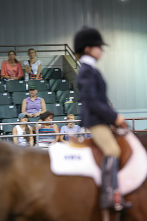 www.ngaphoto.com 2015 Georgia Federation of Saddle Clubs Championship Horse Show