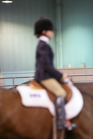 www.ngaphoto.com 2015 Georgia Federation of Saddle Clubs Championship Horse Show