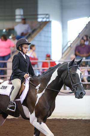 www.ngaphoto.com 2015 Georgia Federation of Saddle Clubs Championship Horse Show