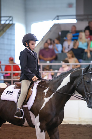 www.ngaphoto.com 2015 Georgia Federation of Saddle Clubs Championship Horse Show