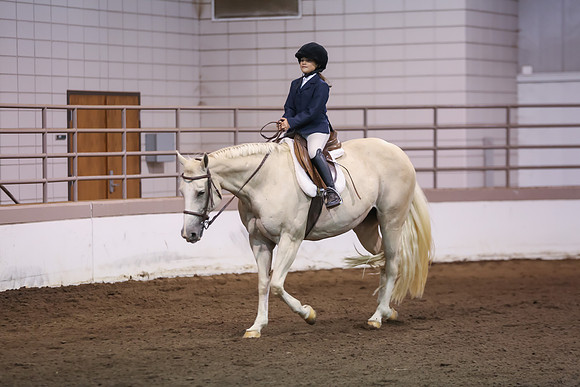 www.ngaphoto.com 2015 Georgia Federation of Saddle Clubs Championship Horse Show