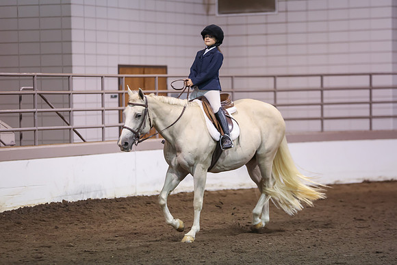 www.ngaphoto.com 2015 Georgia Federation of Saddle Clubs Championship Horse Show