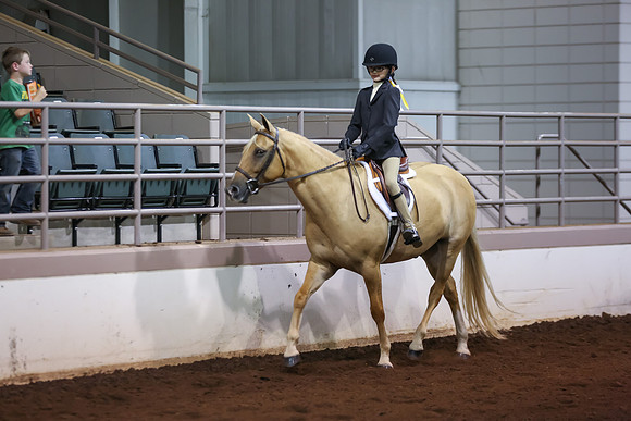 www.ngaphoto.com 2015 Georgia Federation of Saddle Clubs Championship Horse Show