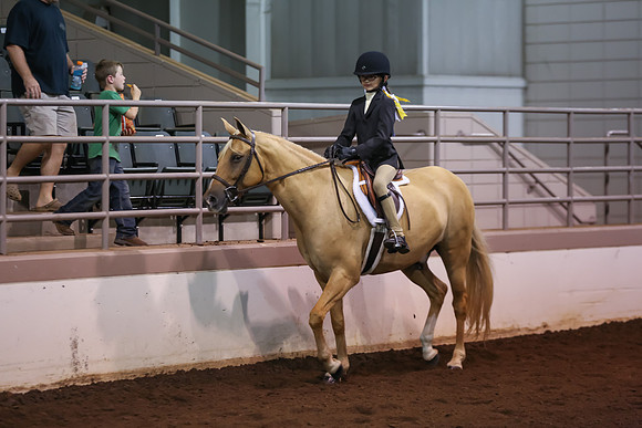 www.ngaphoto.com 2015 Georgia Federation of Saddle Clubs Championship Horse Show