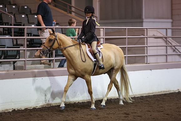 www.ngaphoto.com 2015 Georgia Federation of Saddle Clubs Championship Horse Show