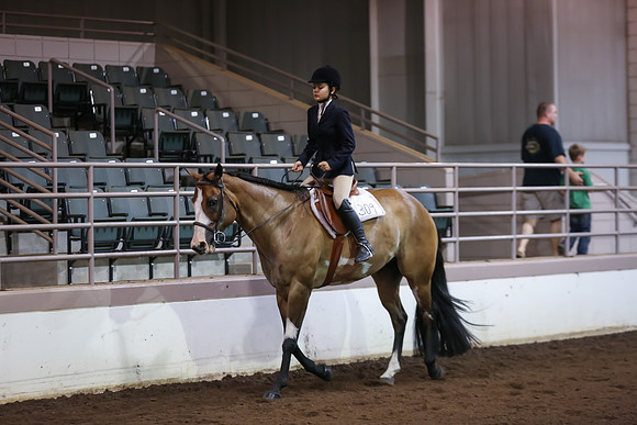 www.ngaphoto.com 2015 Georgia Federation of Saddle Clubs Championship Horse Show
