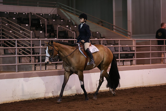 www.ngaphoto.com 2015 Georgia Federation of Saddle Clubs Championship Horse Show