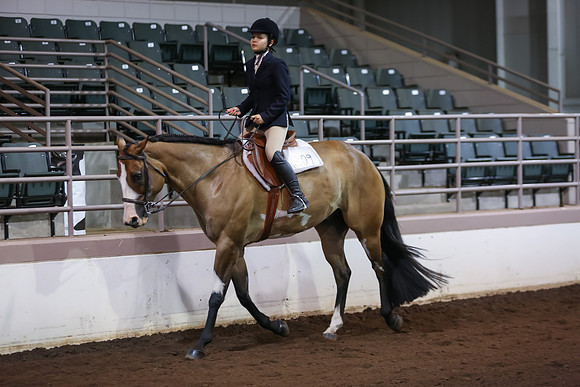 www.ngaphoto.com 2015 Georgia Federation of Saddle Clubs Championship Horse Show